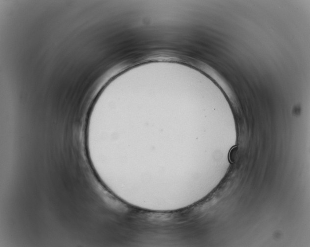 X0000100350861200807031812