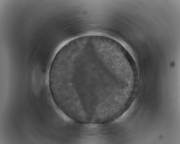 X0000100350862200807031812