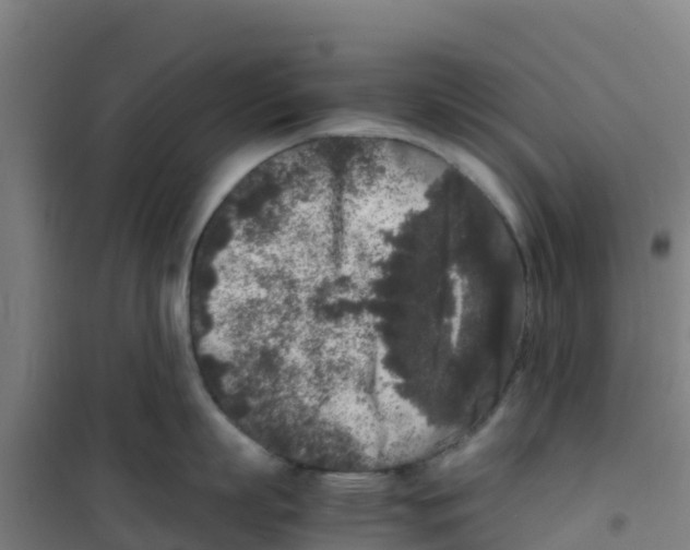 X0000100350863200807031812