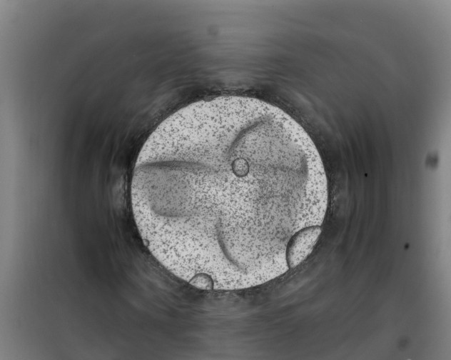 X0000100350866200807031811