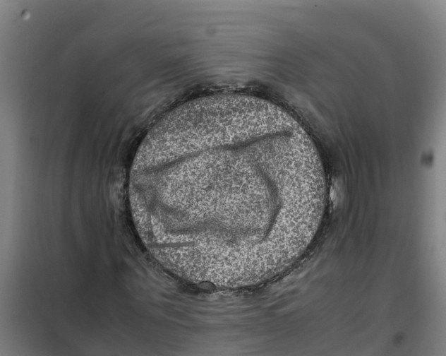 X0000100350867200807031811