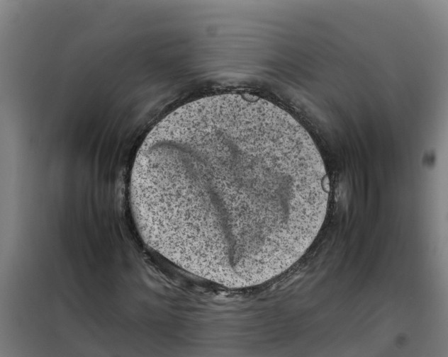 X0000100350868200807031811