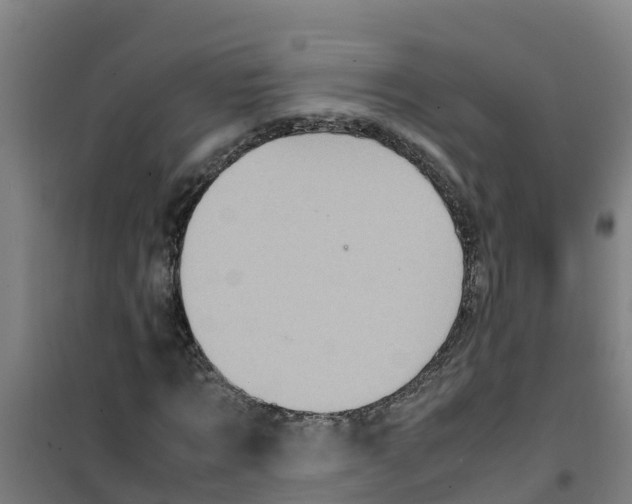 X0000100350869200807031811