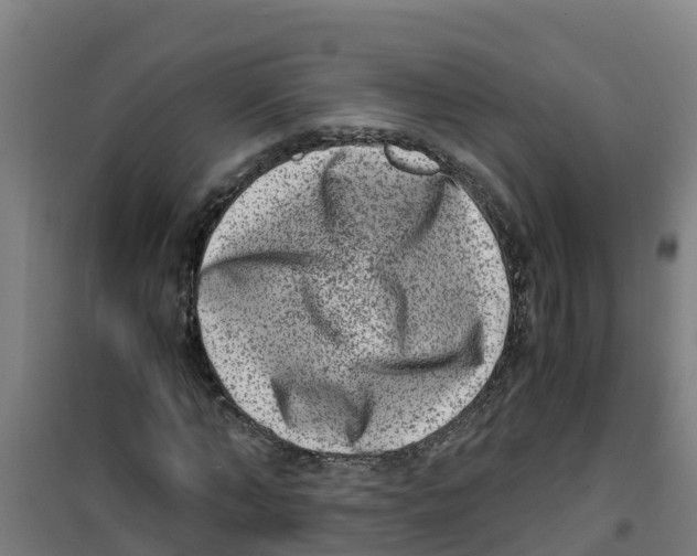 X0000100350870200807031811