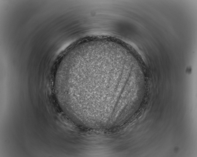 X0000100350871200807031811