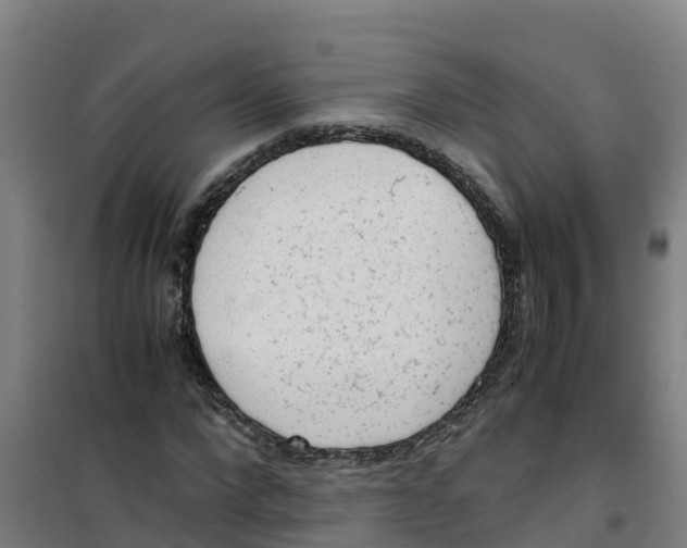 X0000100350872200807031811