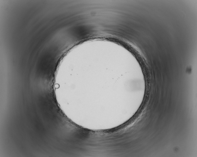 X0000100350873200807031811