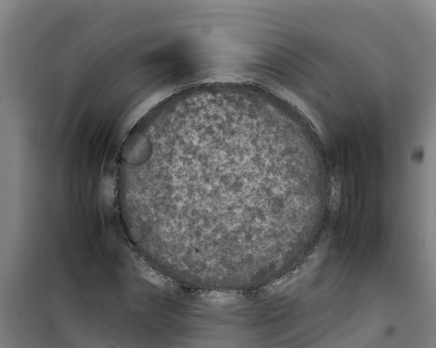 X0000100350874200807031811