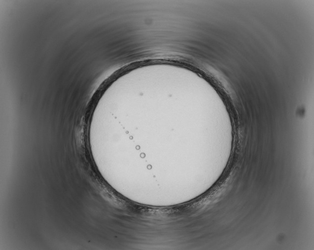 X0000100350875200807031811