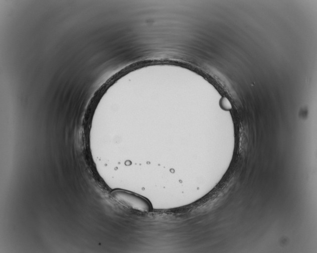 X0000100350876200807031811