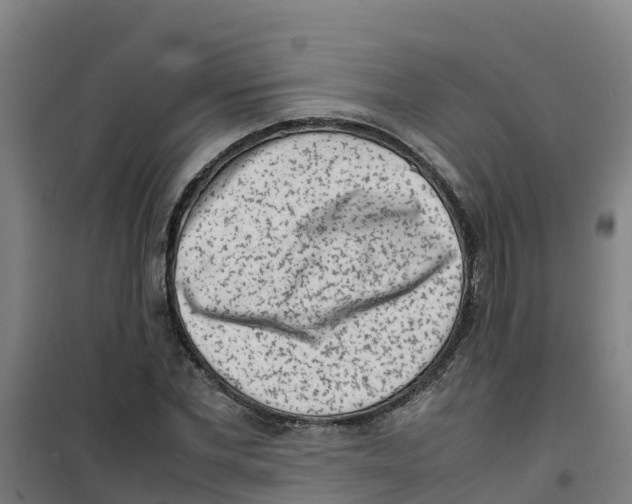 X0000100350877200807031811