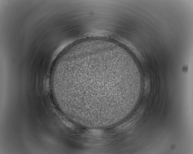 X0000100350878200807031811