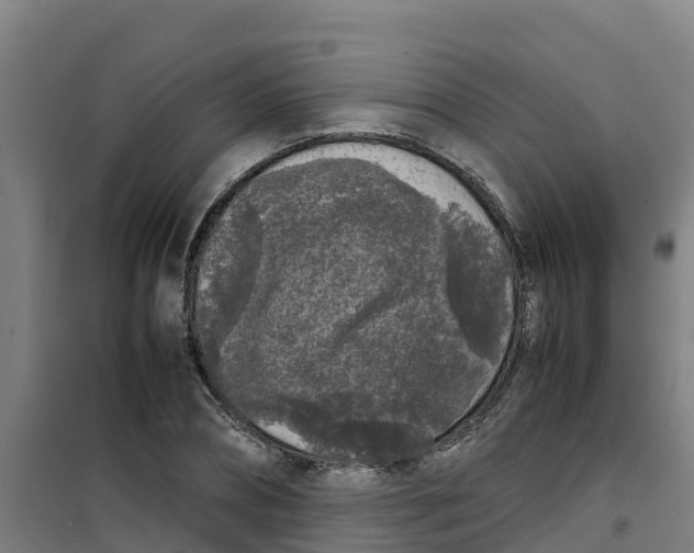 X0000100350882200807031811