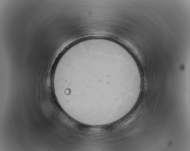 X0000100350883200807031811