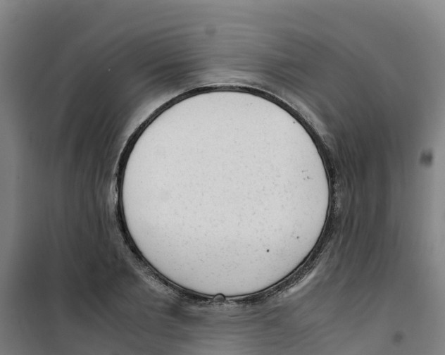 X0000100350885200807031811