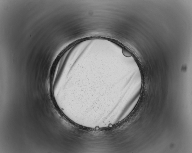 X0000100350888200807031811