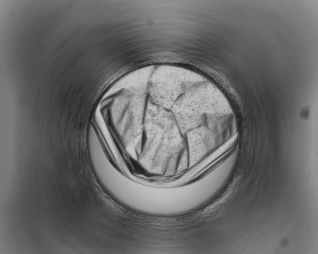 X0000100350889200807031811