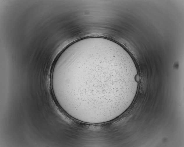 X0000100350890200807031811