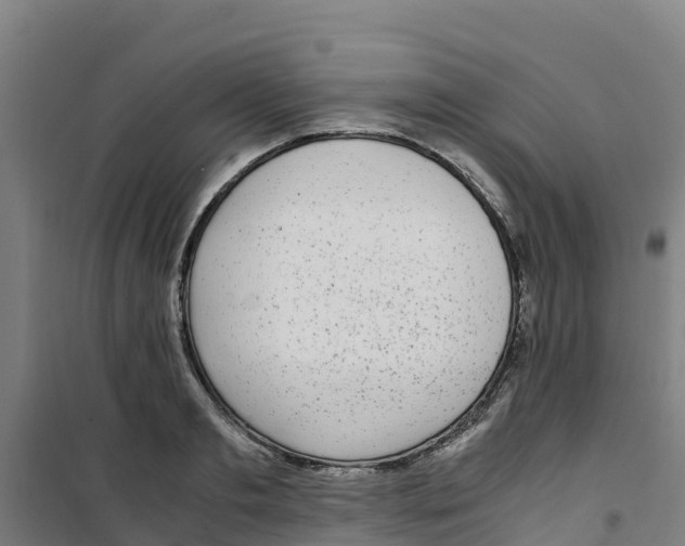 X0000100350893200807031811