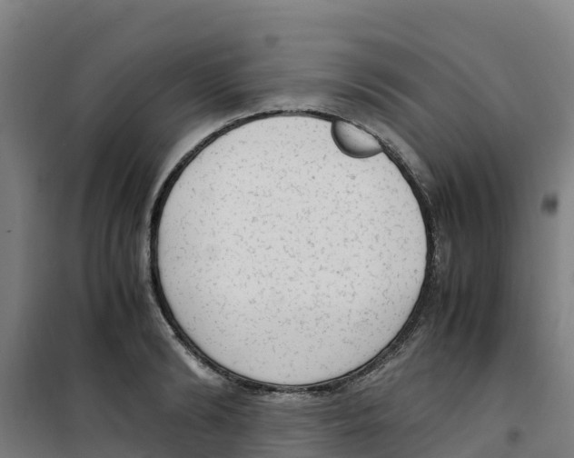 X0000100350894200807031811