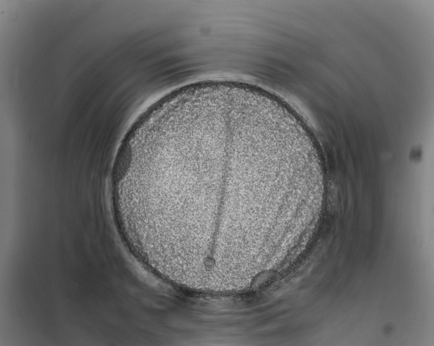 X0000100350895200807031811