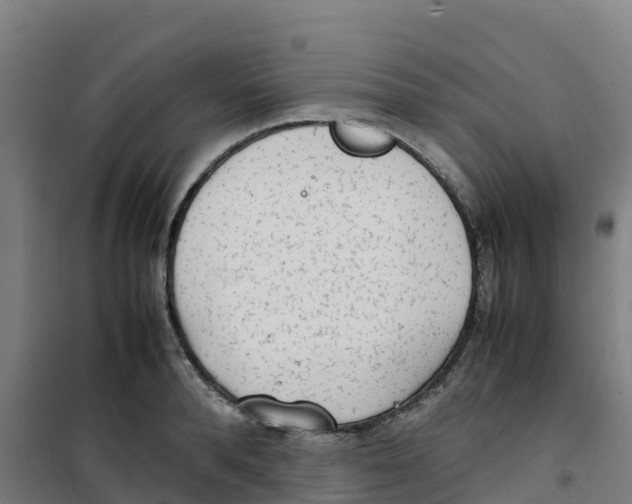 X0000100350896200807031811