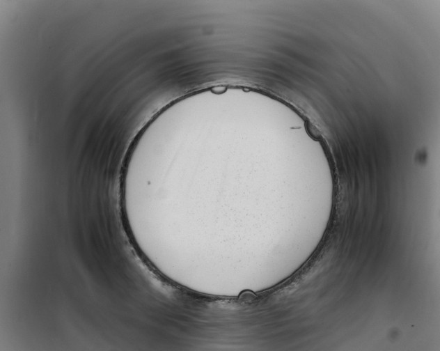 X0000100350898200807031811