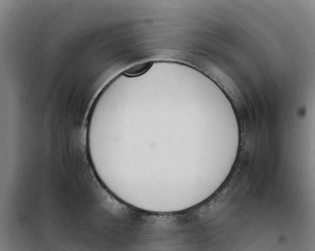 X0000100350900200807031811