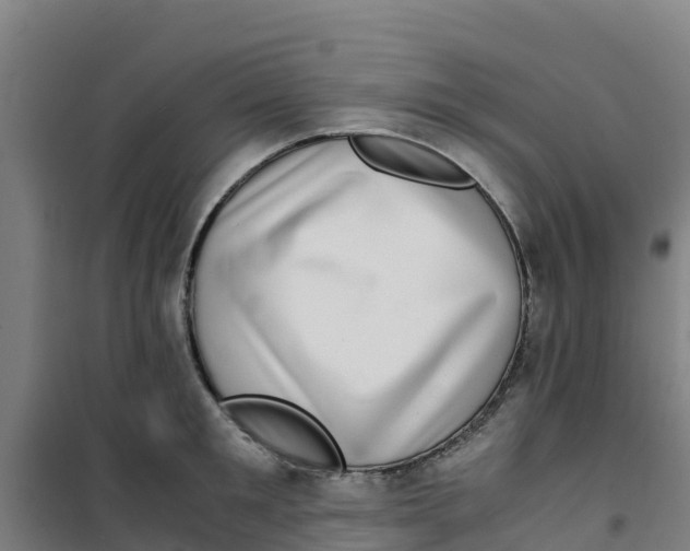 X0000100350901200807031811