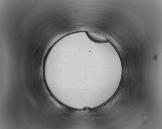 X0000100350902200807031811