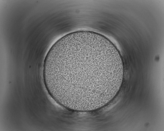 X0000100350903200807031811