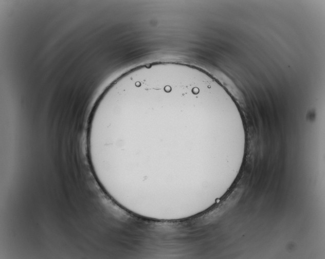 X0000100350904200807031811