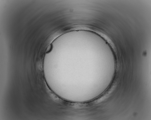 X0000100350905200807031811