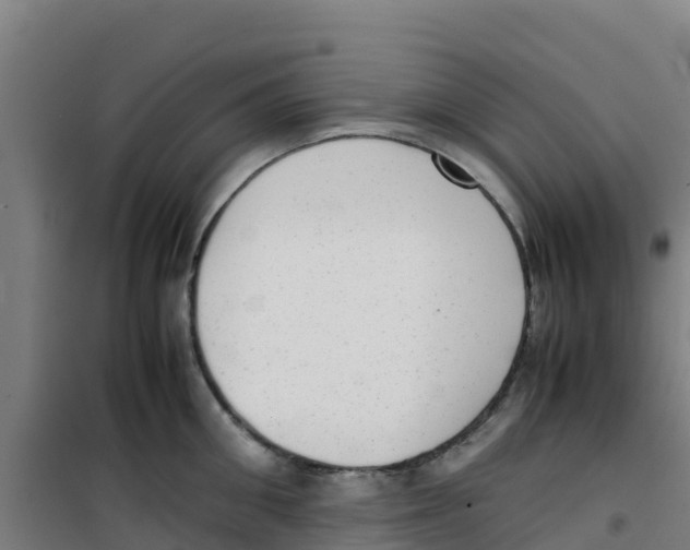 X0000100350906200807031811