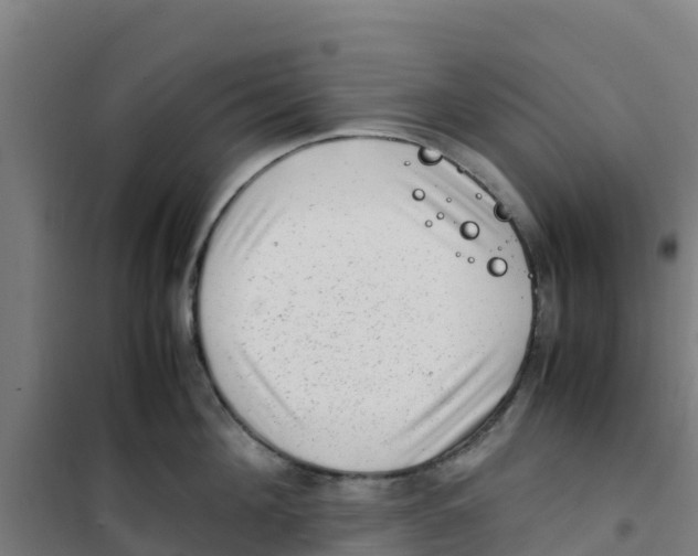 X0000100350908200807031811