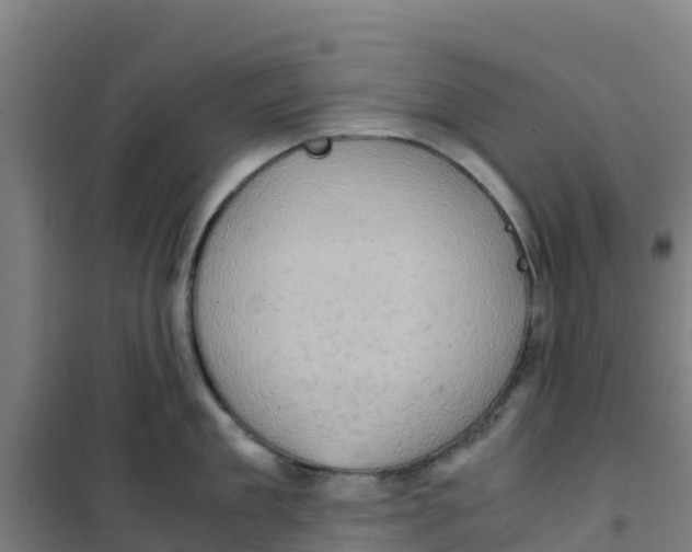 X0000100350909200807031811