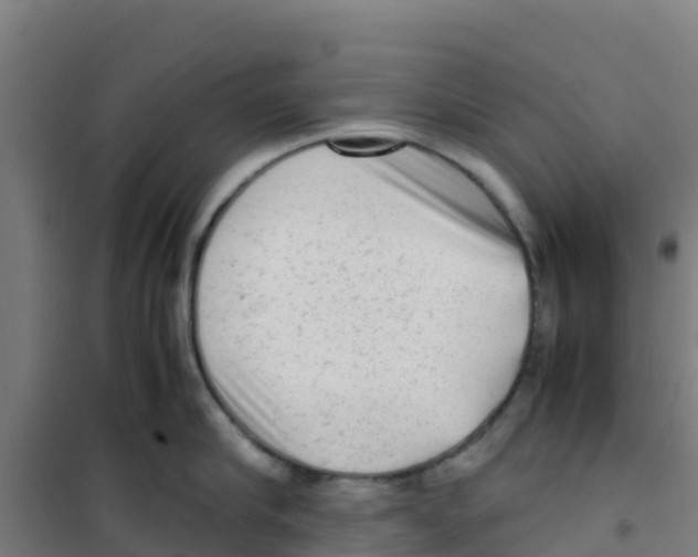 X0000100350910200807031811