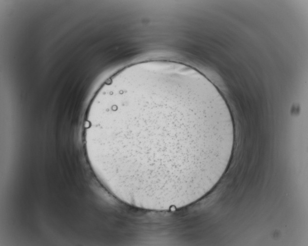 X0000100350912200807031811