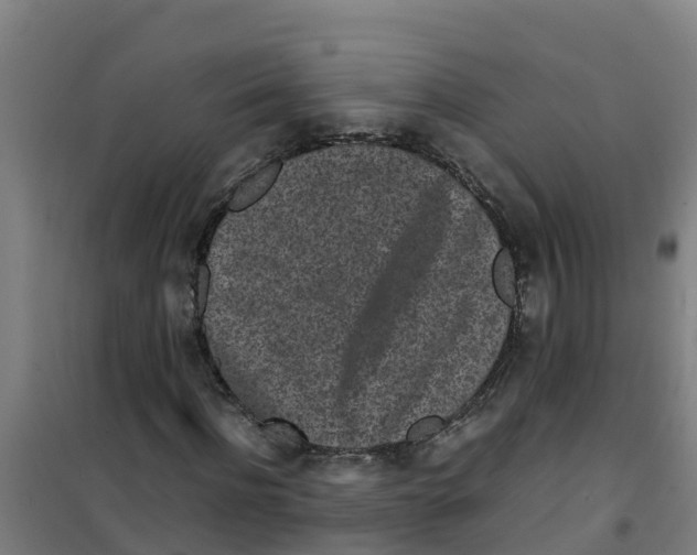 X0000100350916200807031810