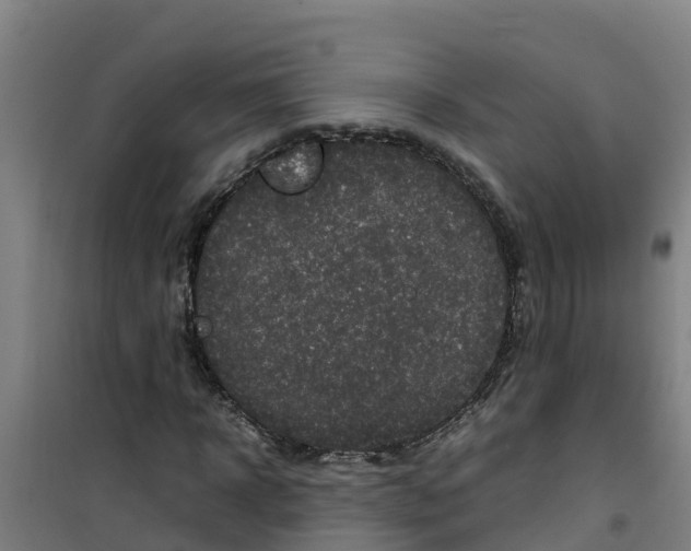 X0000100350918200807031810