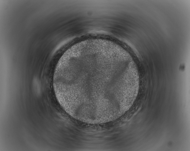 X0000100350919200807031810