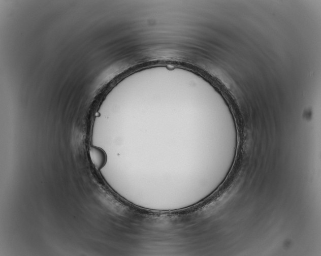 X0000100350922200807031810