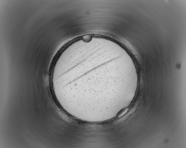 X0000100350924200807031810