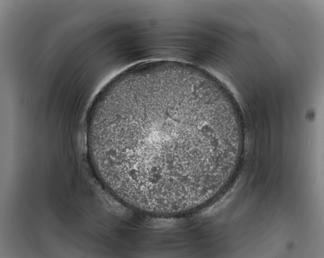 X0000100350925200807031810