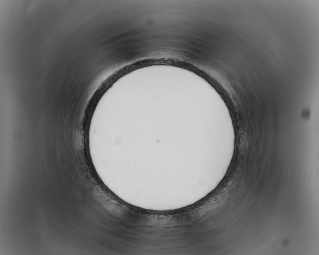 X0000100350927200807031810