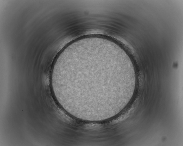 X0000100350929200807031810