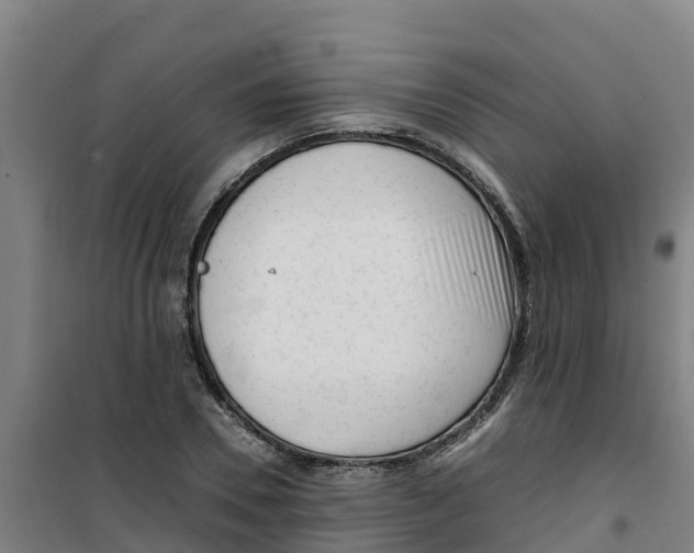 X0000100350930200807031810