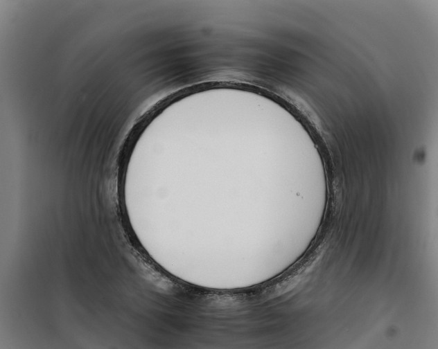 X0000100350931200807031810