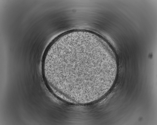 X0000100350932200807031810