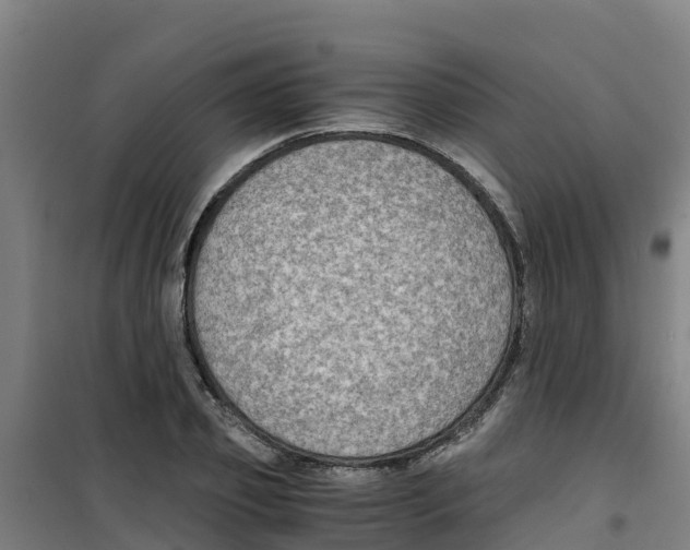 X0000100350933200807031810